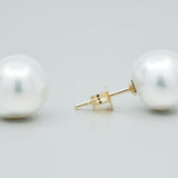 South Sea Pearl Studs