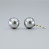 'Studs' Tahitian Pearl Earrings