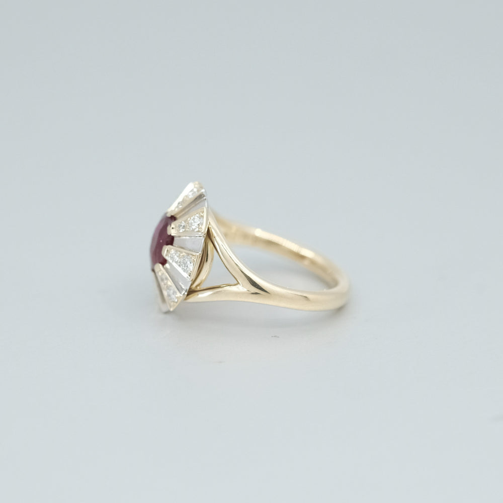 
                      
                        'Apus' Ruby and Diamond Ring
                      
                    