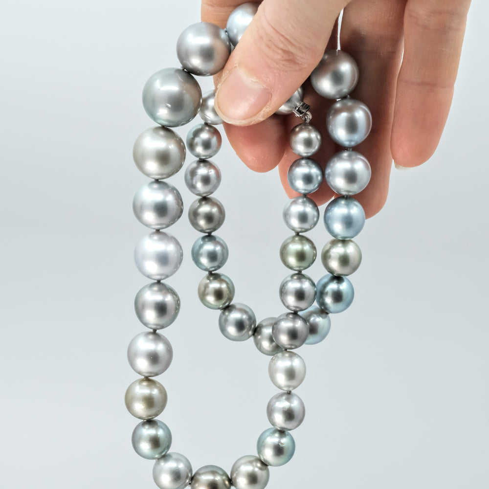 
                      
                        Silver Tahitian Pearl Strand Necklace
                      
                    