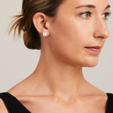 'Studs' South Sea White Pearl Earrings
